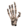 PVP Trophy
