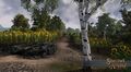 Lowlands Countryside