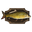 Mounted Carp
