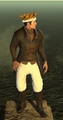 Thumbnail for version as of 22:56, 6 July 2015