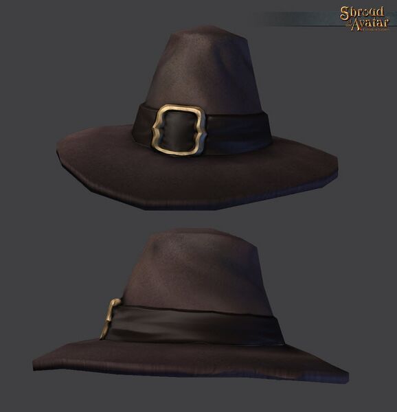 File:SotA BrownPilgrimHat.jpg