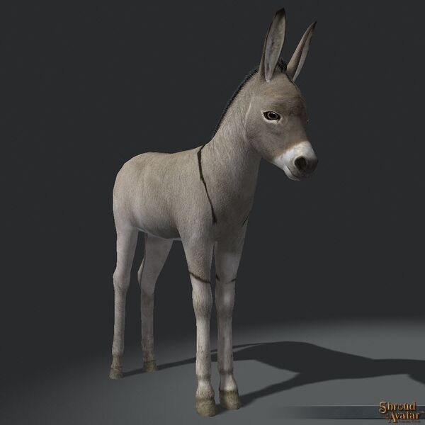 File:SotA StretchGoal PackAnimals DonkeyFoal.jpg