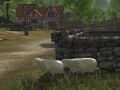 Thumbnail for version as of 07:31, 16 December 2013