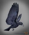 Thumbnail for version as of 20:36, 11 March 2014