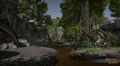 The Woods