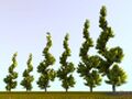Thumbnail for version as of 19:12, 27 April 2016