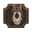Mounted Timber Wolf