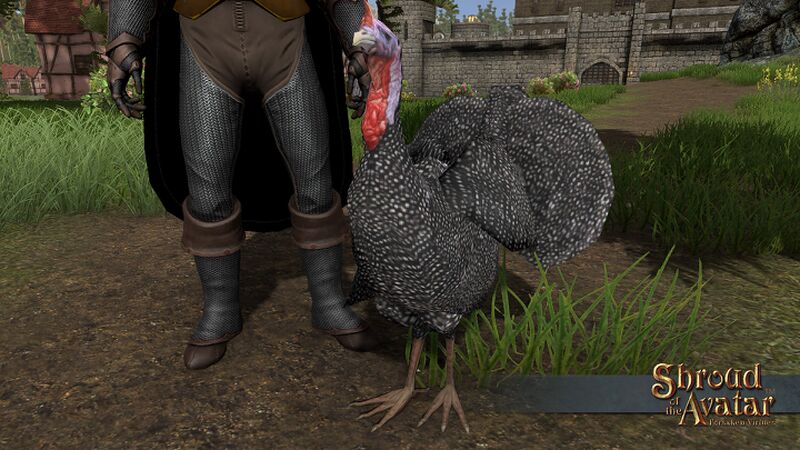 File:SotA Speckled-Turkey standing-1.jpg