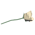 Thumbnail for version as of 00:29, 14 May 2026