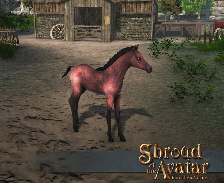 File:SS Stretchgoal Roan Foal A.jpg