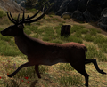 Thumbnail for version as of 06:38, 19 January 2017