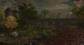 Blood River Massacre
