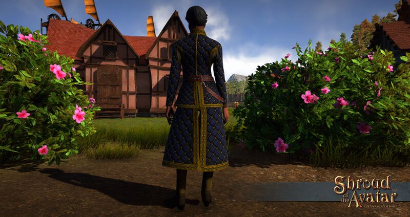 File:Sota-ornate-buckled-cross-hatched-gambeson-back.jpg