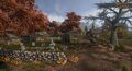 Harvest Cemetery