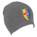 Lord British Beanie (color on gray)