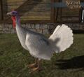 Thumbnail for version as of 02:42, 22 November 2015
