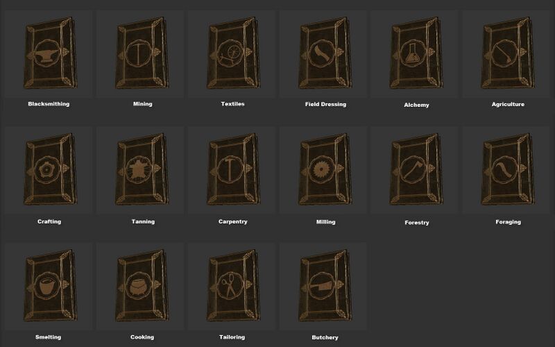 File:SotA Books Crafting.jpg