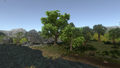 Looking SE from the guard tower in Jaanaford