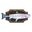Mounted Trout