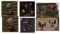 Thumbnail for version as of 06:05, 9 October 2016