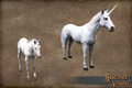 White Unicorn and Foal
