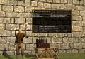 Aether Vibration Ammplifier UI