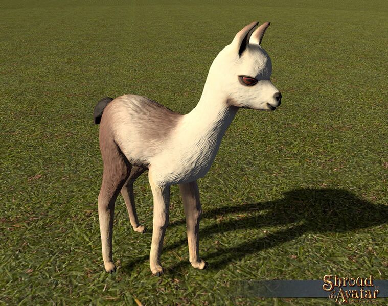 File:SotA BabyLlama.jpg