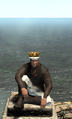 Thumbnail for version as of 22:59, 6 July 2015