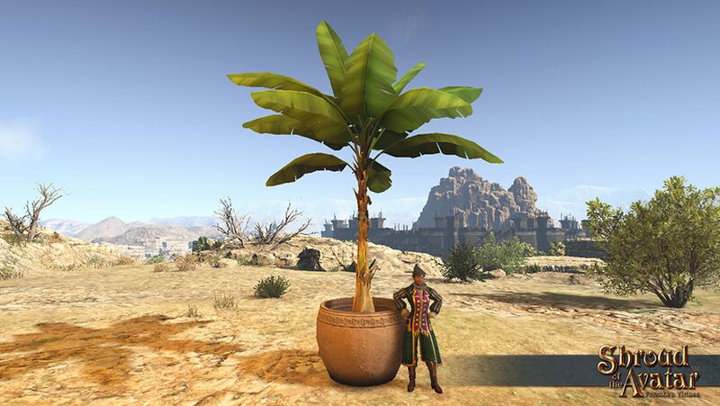 File:Item potted giant banana plant.jpg