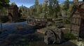 North Naryad Pinelands WIP