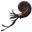 Ammonite