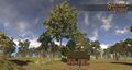 Thumbnail for version as of 19:30, 16 March 2017