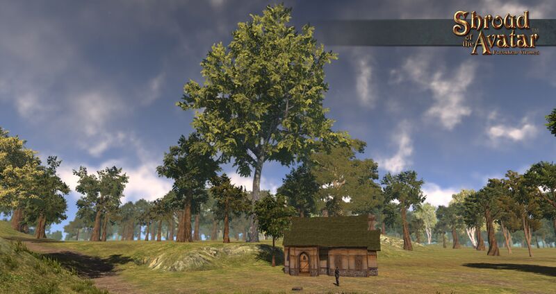File:SotA EpicCommonLindenTree.jpg