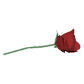 Thumbnail for version as of 21:04, 13 September 2019
