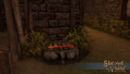 Thumbnail for version as of 12:23, 23 January 2024