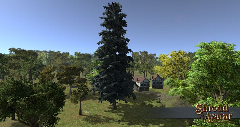 File:SotA EpicBlueSpruceTree.jpg
