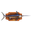 Swordfish Trophy
