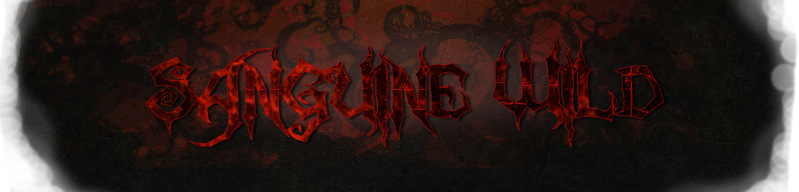 File:SWGuildheader.png