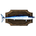 Thumbnail for version as of 03:58, 7 June 2022