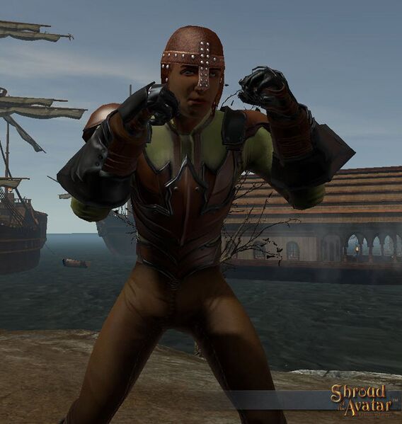 File:SotA Emote Developer ShadowBox.jpg