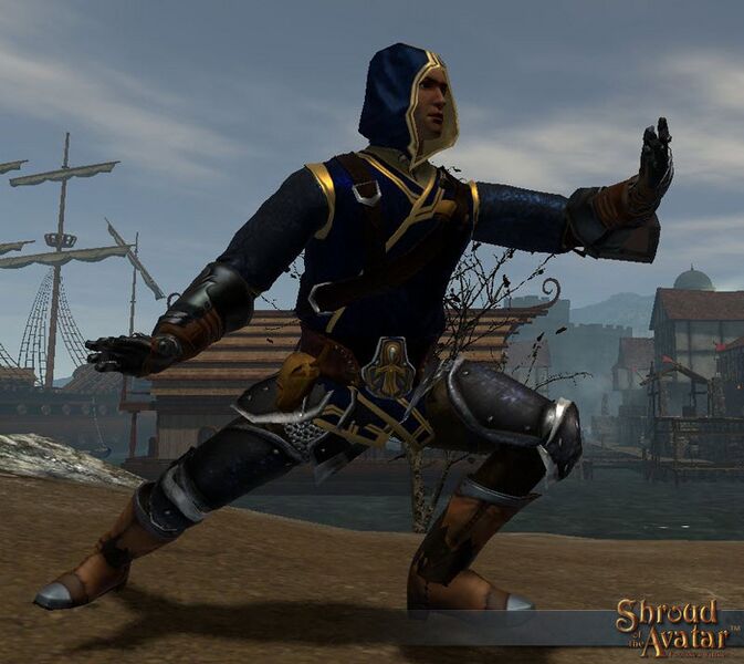 File:SotA Emote Navigator TaiChi.jpg