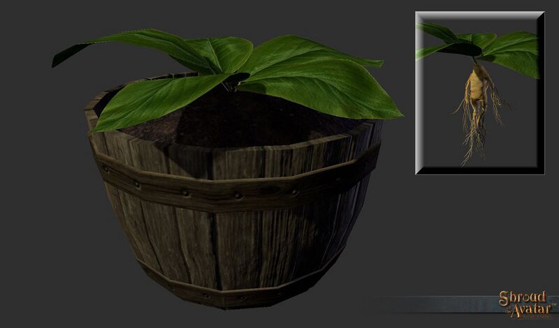File:SotA Reagent Mandrake.jpg
