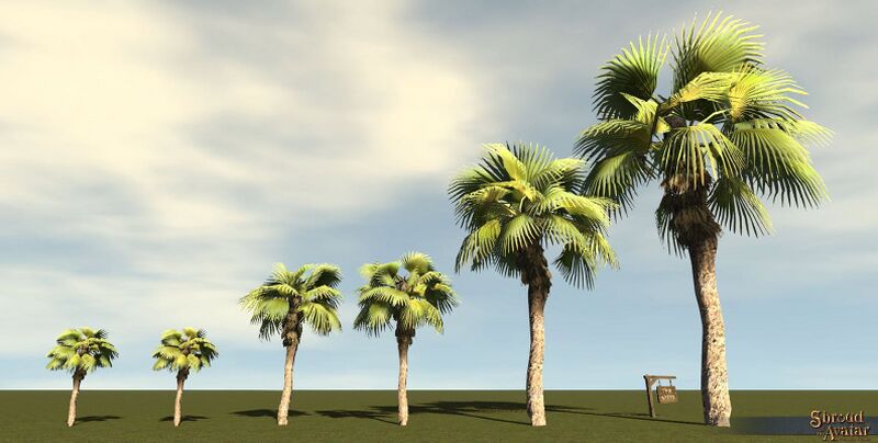 File:SotA Tree FountainPalm 6Pack.jpg