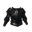 Acara's Plate Chest of Defiance, Common