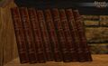 Books In-Game