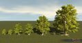 Puzzle Tree Sizes