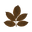 Tea Leaves