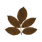 Tea Leaves