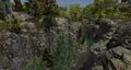 Gorge