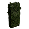 Thumbnail for version as of 04:14, 11 October 2015